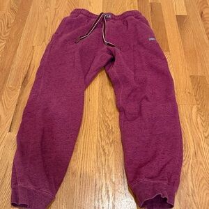 Cozy Burgundy Figs Joggers